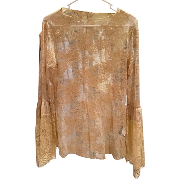 Jaded Gypsy- sheer Garden Tea Lace Top ***has a few small holes*** - Picture 1 of 4